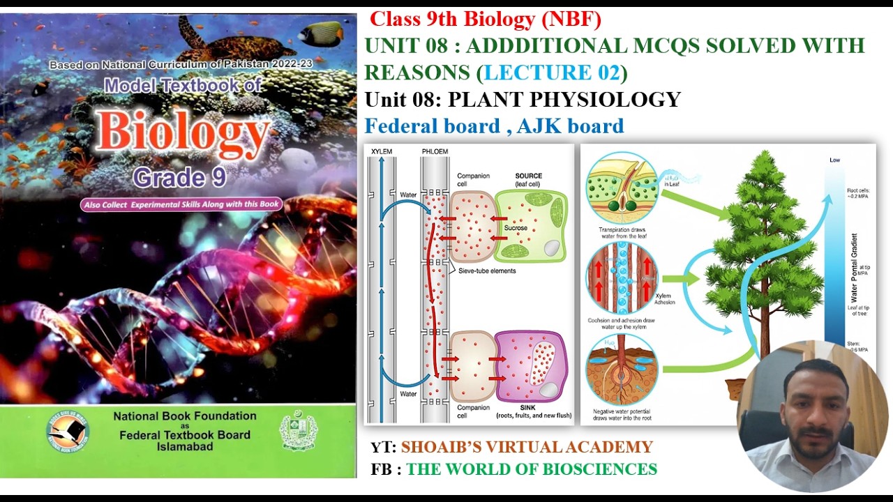 Class 9 Biology chapter 08 Plant Physiology Additional MCQs Solved | NBF 2026