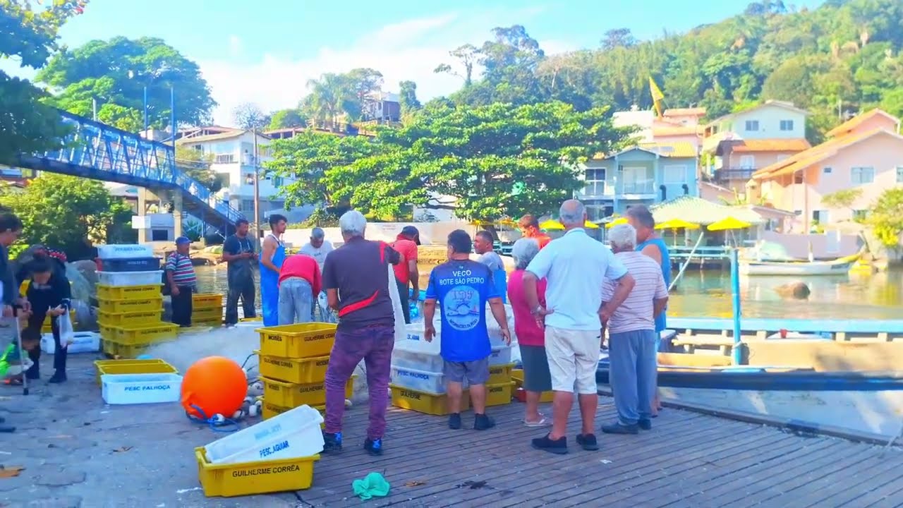 Descobrindo os Encantos de Florianópolis: Caminhada pelo Bairro