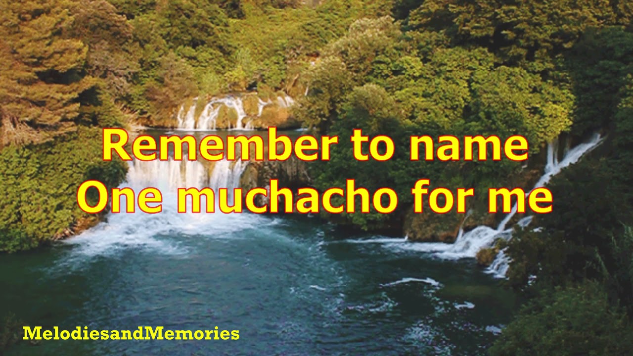Adios Amigo by Jim Reeves - 1965 (with lyrics)