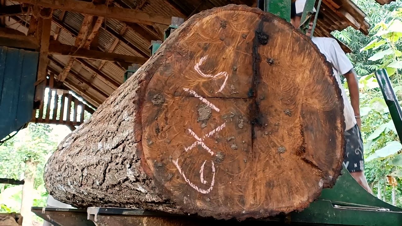FromThe roundShape ofThis oldLog, it isProcessed into an extraordinary 6x15 sizedBeam atThe Sawmill