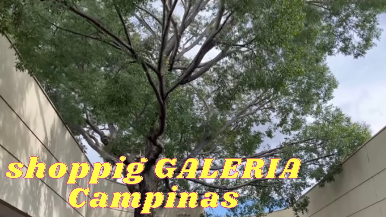 🌼Shopping Galleria Campinas - O shopping mais lindo do Brasil, muito natureza e lojas incríveis
