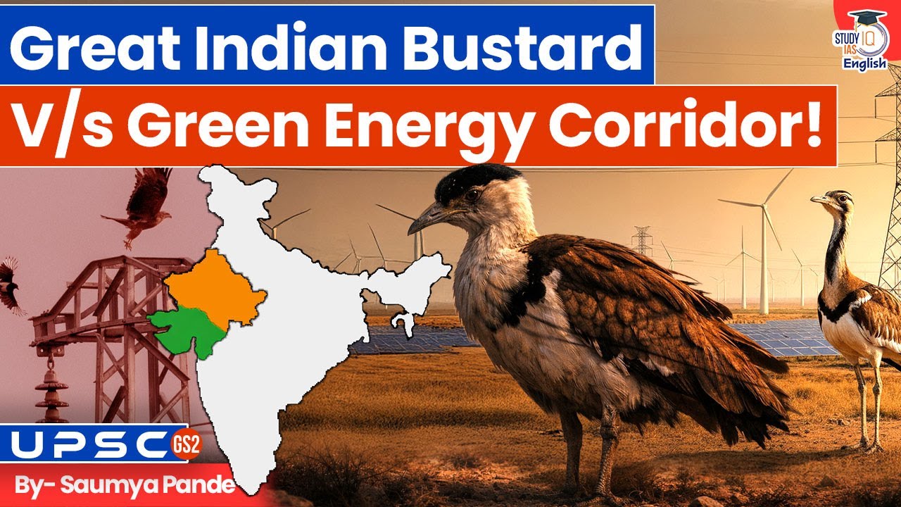 Wildlife vs Clean Energy: Threat Looms over India’s Rare Bird? | Saumya Pande | StudyIQ IAS English