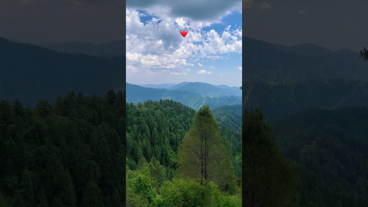 Murree Weather Today 🌧️ | Rain, Fog & Beautiful Mountain Views | Live Murree Update 🇵🇰