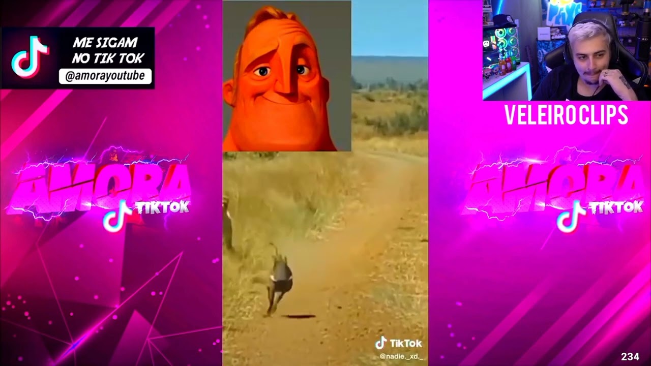 GABPEIXE REAGINDO AOS MELHORES TIKTOK DE COM&Eacute;DIA TENTE N&Atilde;O RIR   91