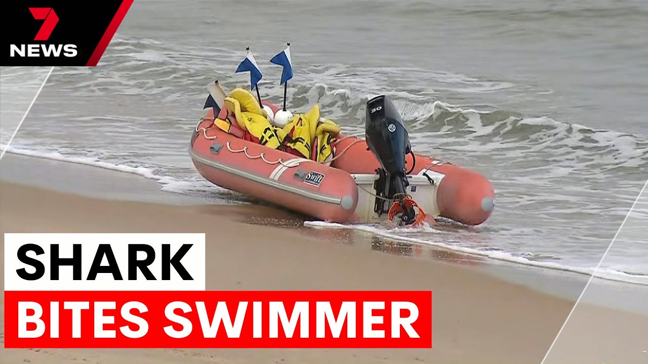 Shark attack near Adelaide leaves swimmer seriously injured | 7NEWS