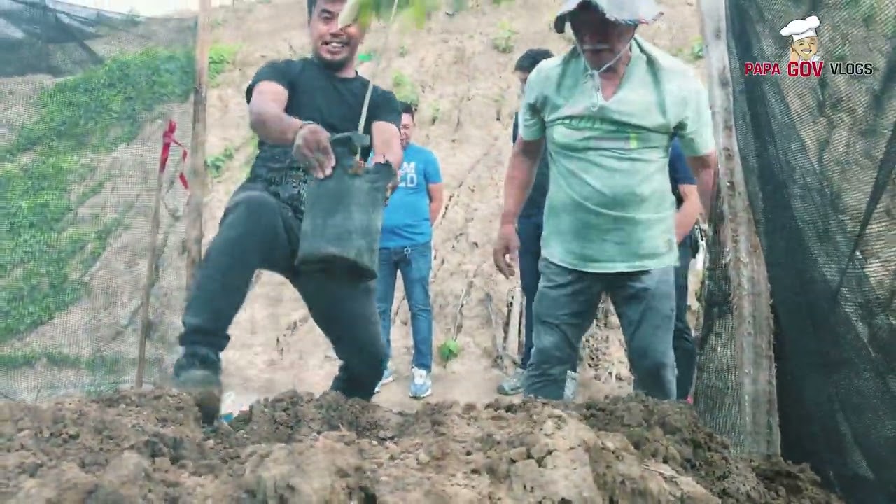 Our Durian Farm
