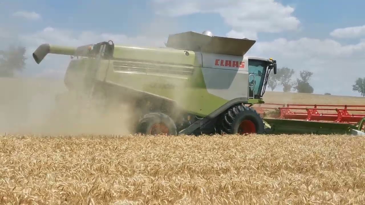 Žatva 2023 Pšenica CLAAS LEXION 750 a CLAAS LEXION 770 4.časť
