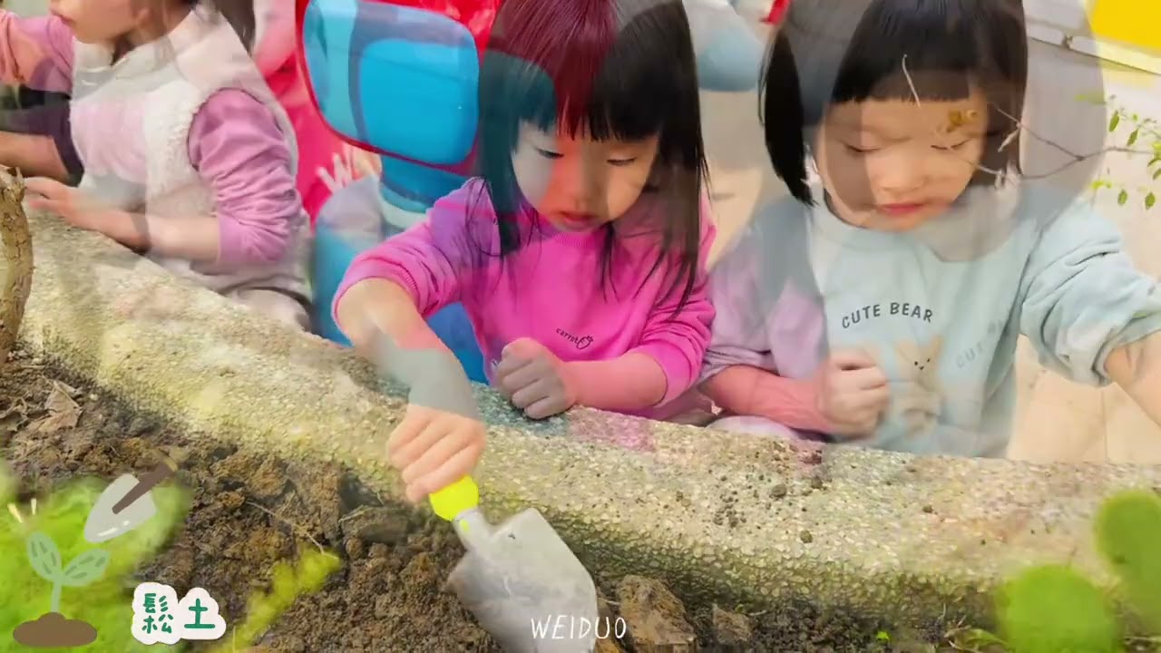 植樹節特別任務：種一棵小樹