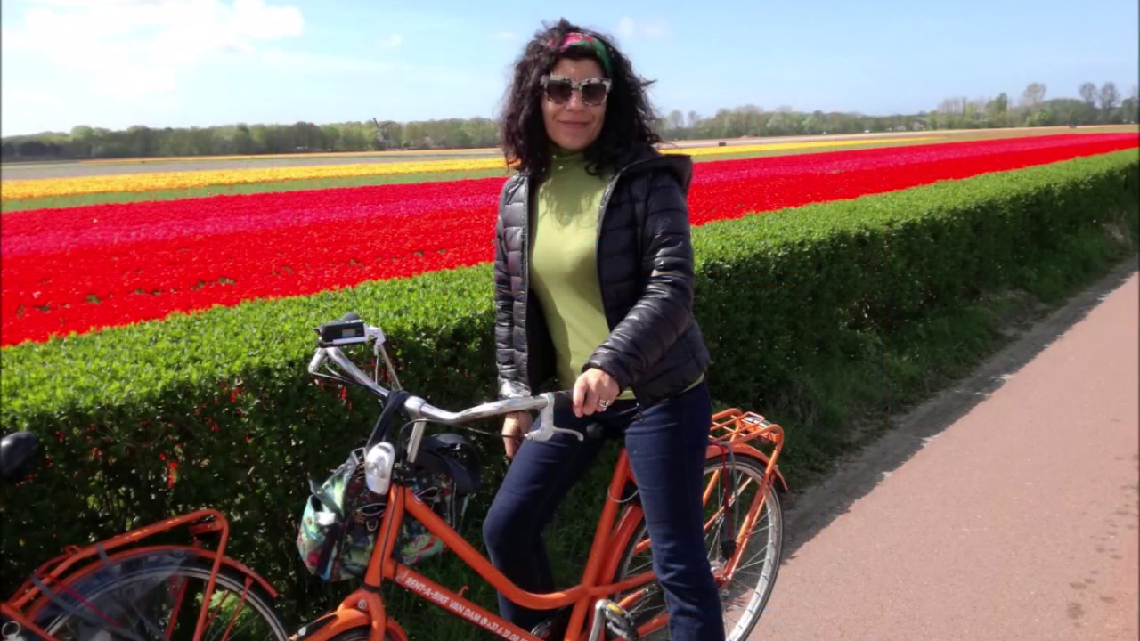Campurile de Lalele Keukenhof, Olanda pe bicle 24 km