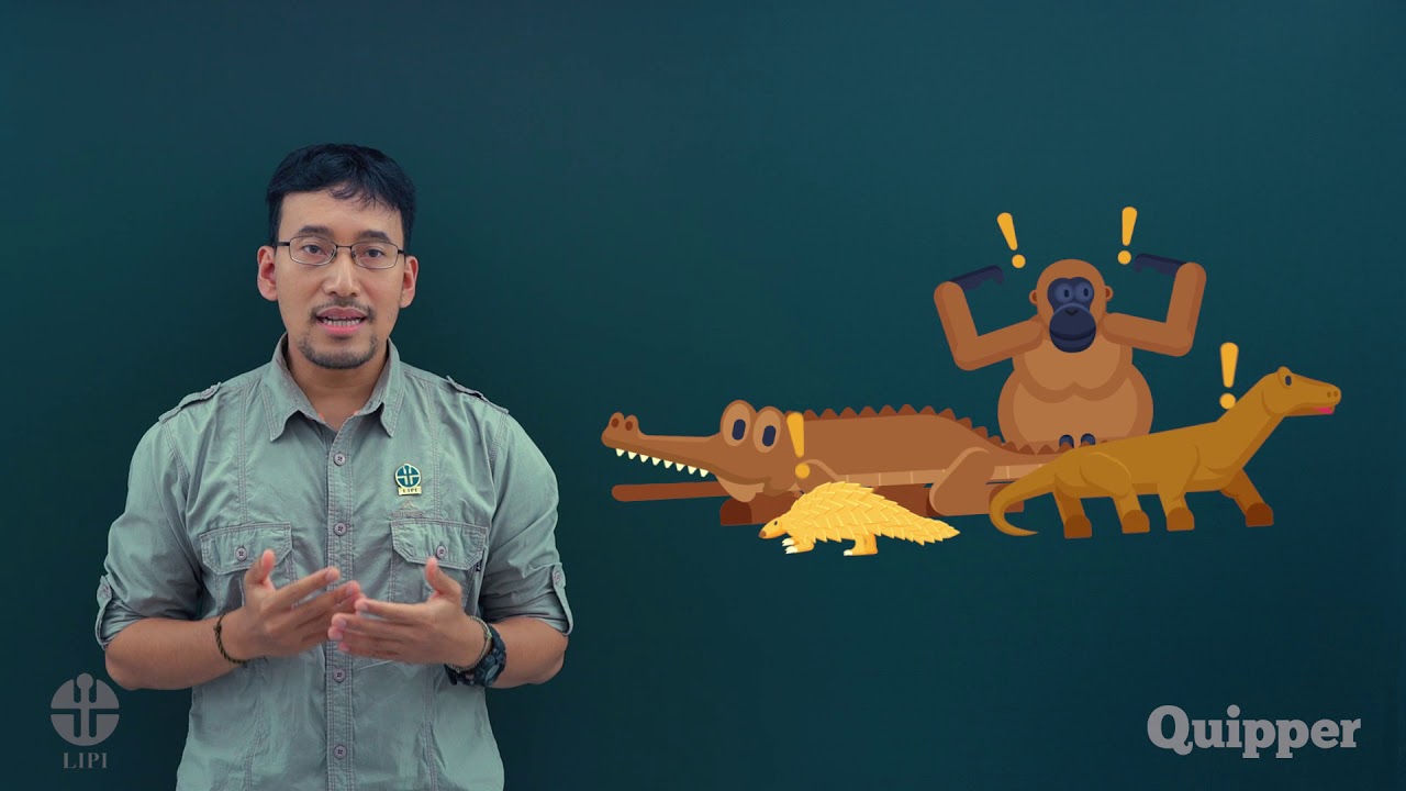 Apa Itu Herpetofauna? Katanya Bisa Bantu Lestarikan Satwa Lho!