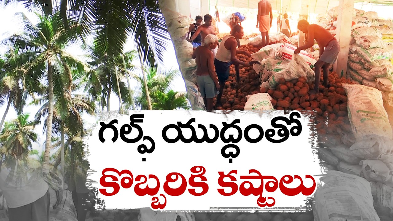 Middle East War Hits Konaseema Coconut Exports | Farmers Face Losses