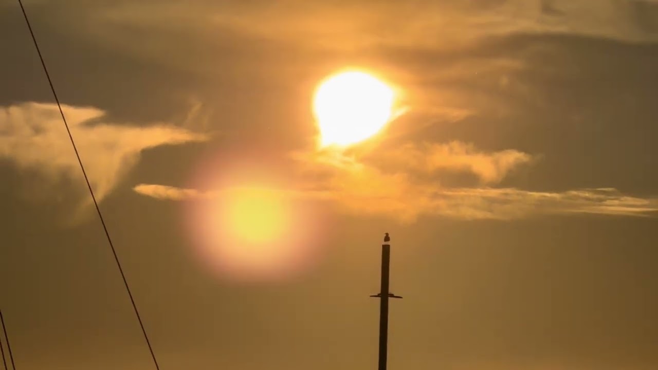 2026年2月8日