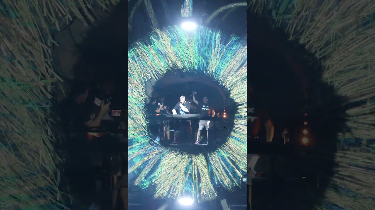 𝐄𝐚𝐭𝐛𝐫𝐚𝐢𝐧 𝐋𝐞𝐚𝐠𝐮𝐞 video set from 