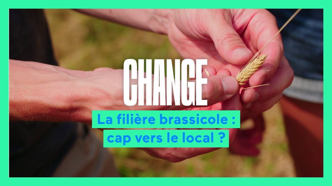 Change : filière bière, cap vers le local ?