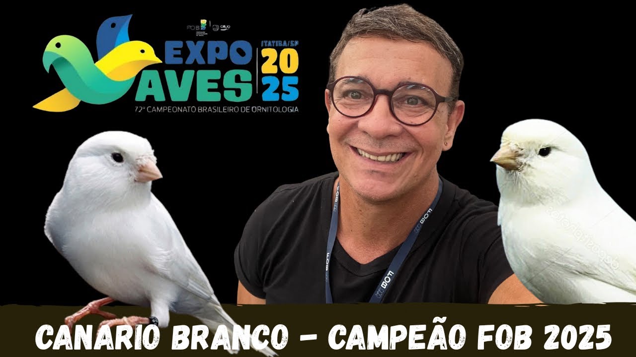 Canario Branco - Campeão FOB 2025