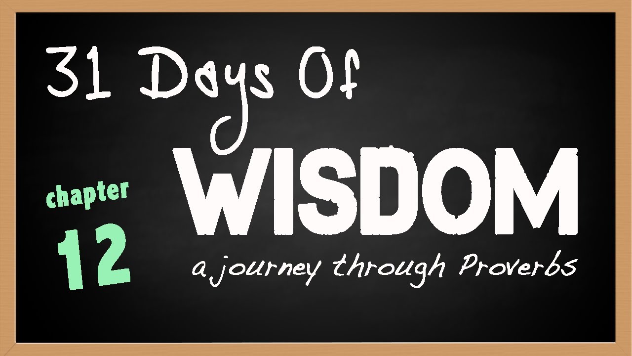 Proverbs 12 | Don’t be Stupid! | 31 Days of Wisdom