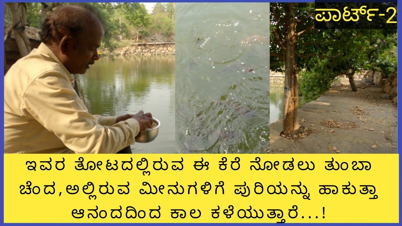 ಇವರ ತೋಟದ ಕೆರೆಯ ತುಂಬಾ ಬರೀ ಮೀನುಗಳೇ ಆದರೆ ಅವುಗಳು ಮಾರಾಟಕ್ಕಿಲ್ಲ, ಯುವ ರೈತರಿಗೆ ಭೂಮಿ ಉಳಿಸಿಕೊಳ್ಳಿ ಎನ್ನುತ್ತಾರೆ