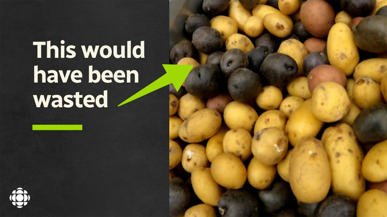 Why students are cooking for food banks