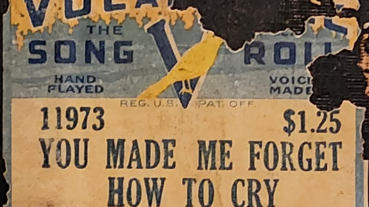 You Made Me Forget How To Cry - Vocalstyle 11973 played by Emil Siedel 
