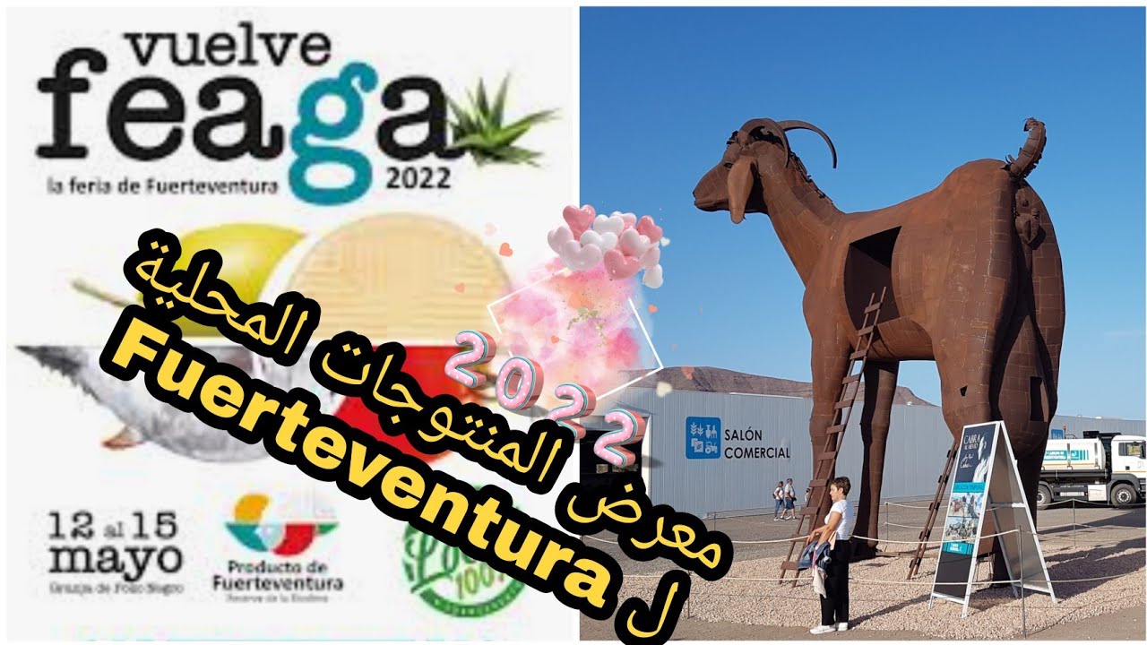 #vuelve #Feaga #la #feria #de #fuerteventura #2022