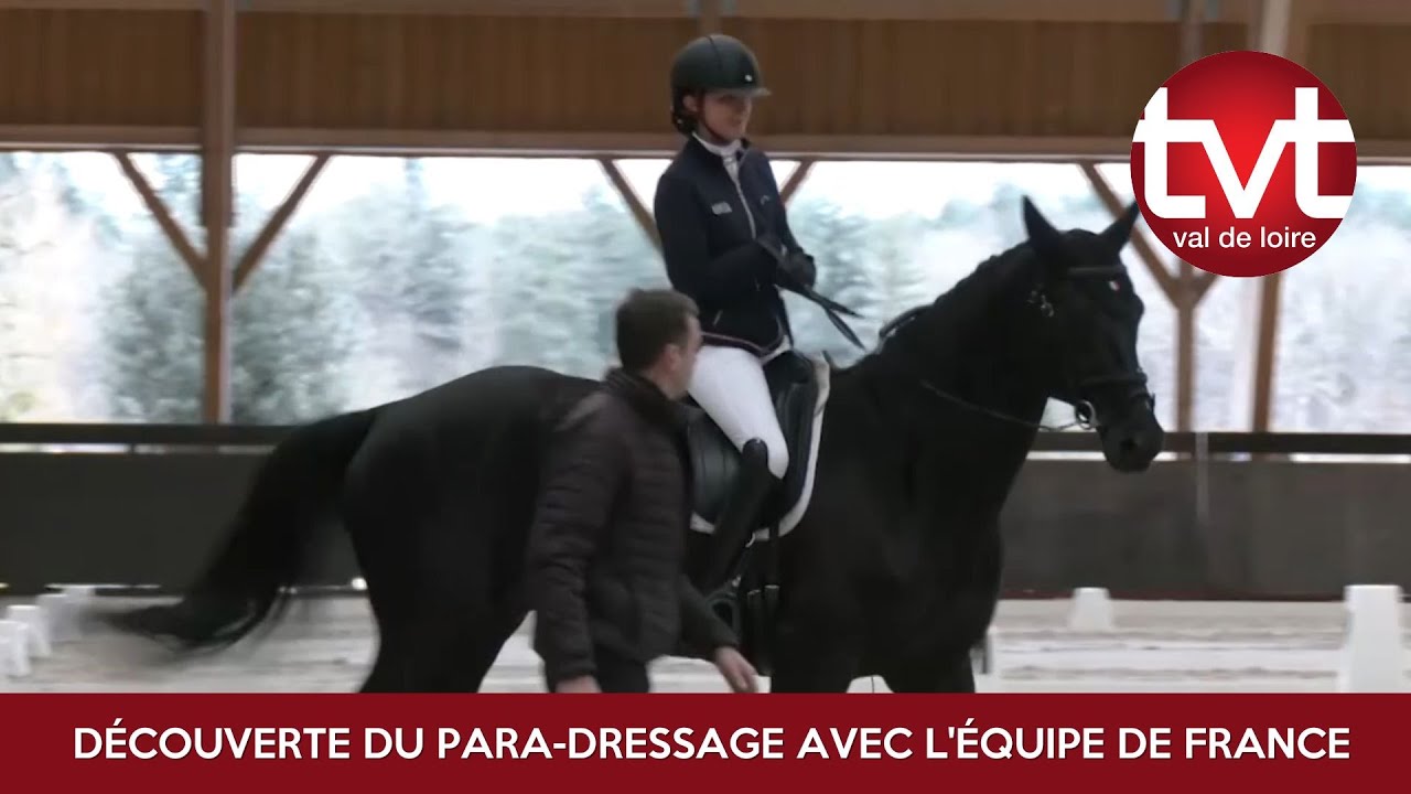 D&eacute;couverte du para dressage avec l'&eacute;quipe de France