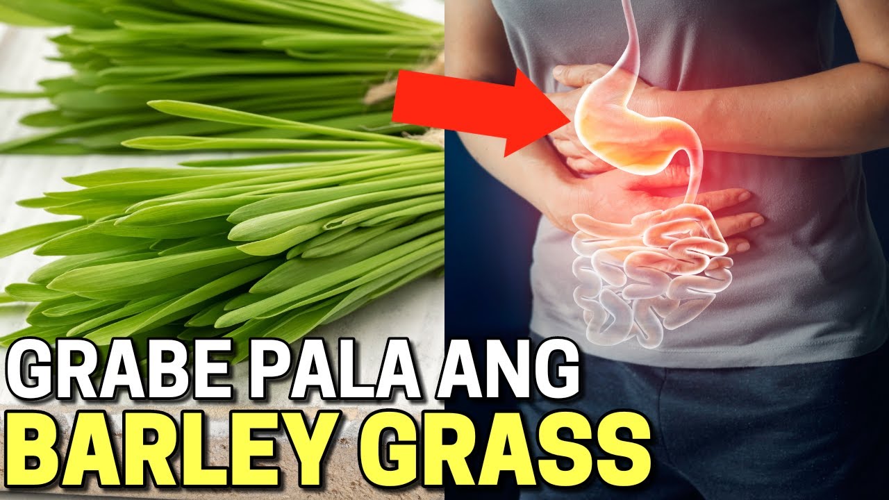 ito pala ang MATINDING EPEKTO sa KATAWAN ng BARLEY GRASS / Benefits and Side Effects of Barley Grass