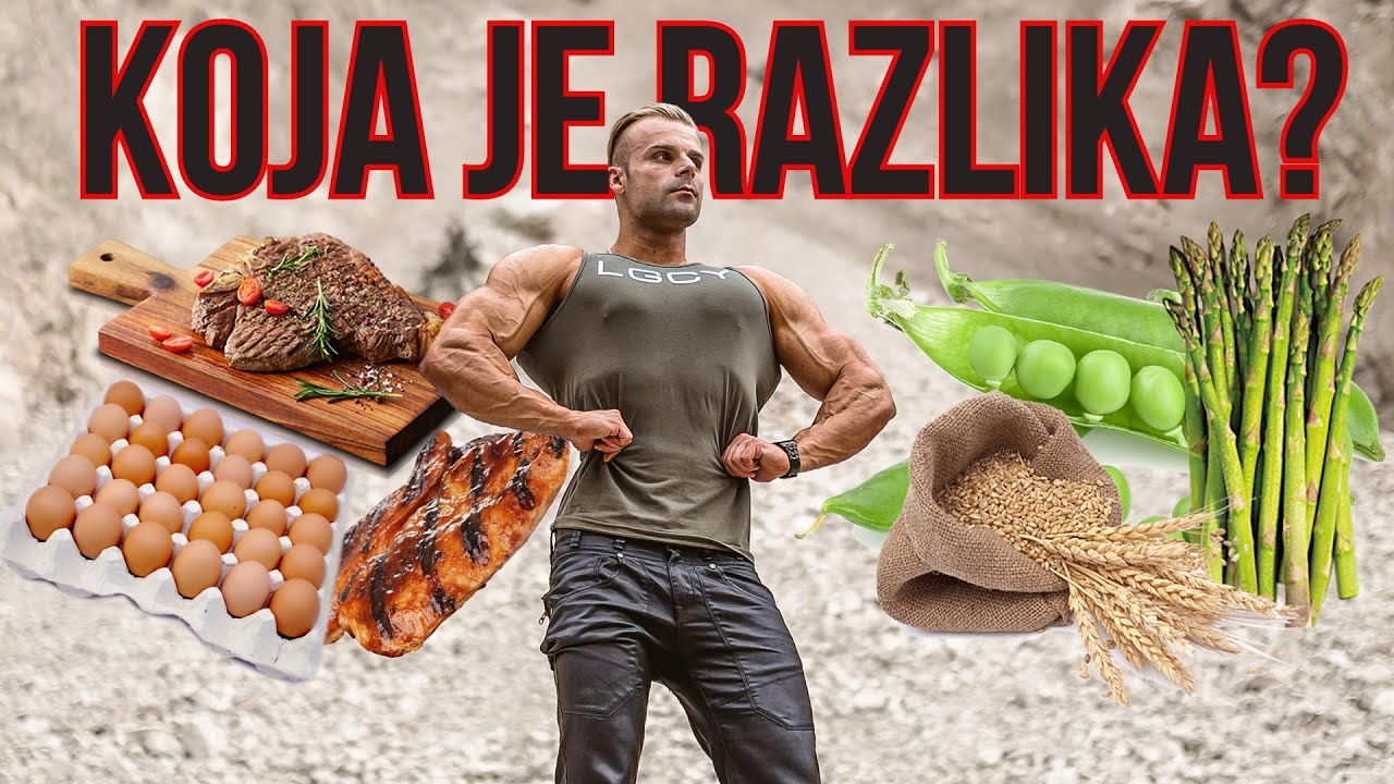 RAZLIKA IZMEDJU BILJNOG I ZIVOTINJSKOG PROTEINA