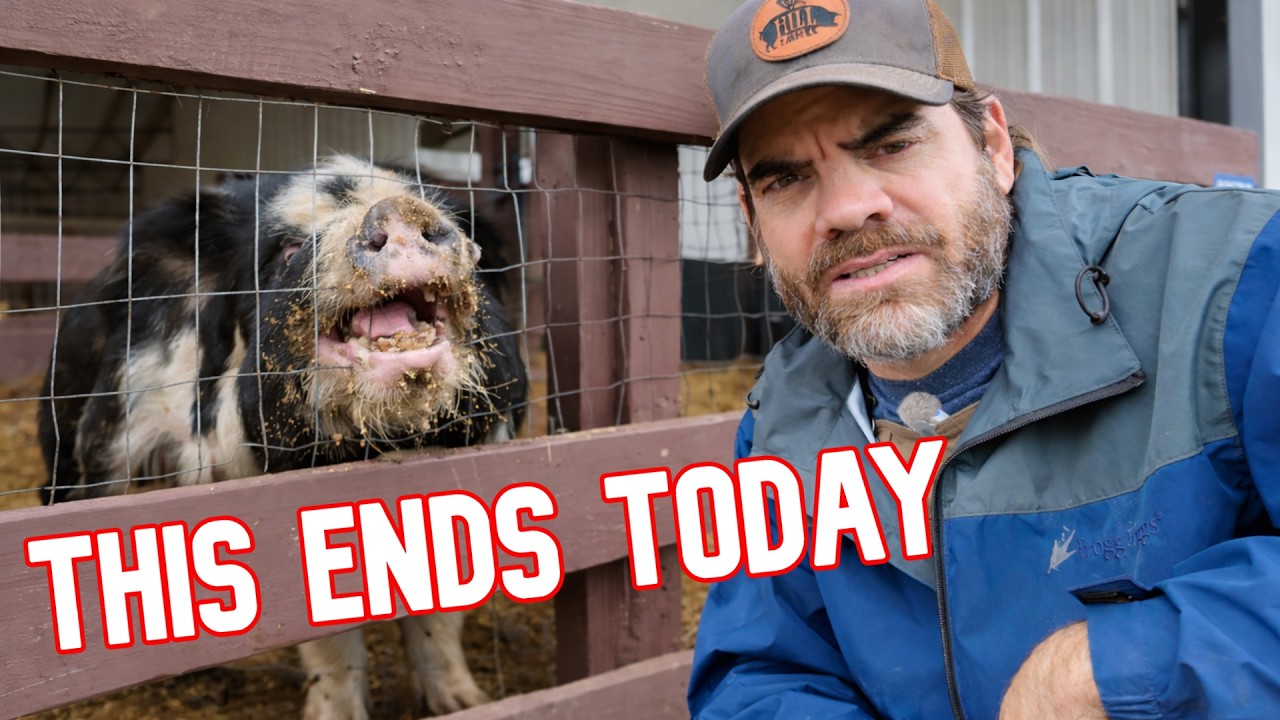 We're NOT Losing This Battle!