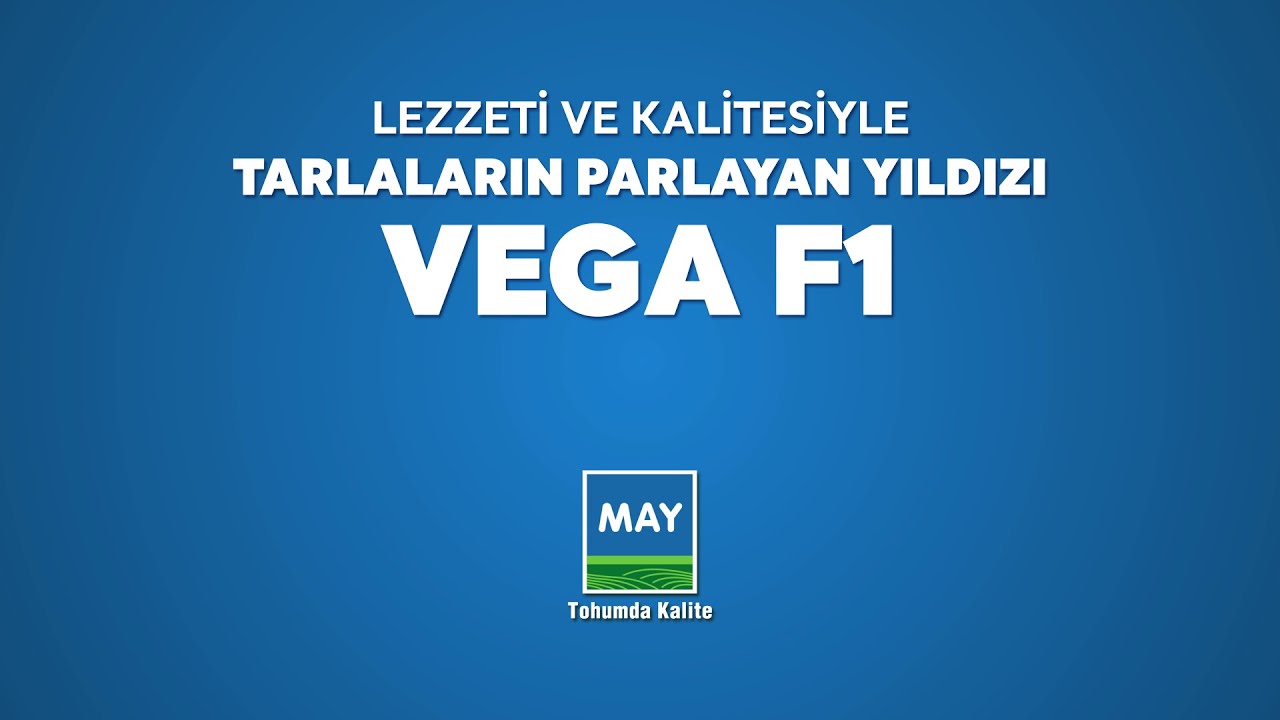 TATLI MISIR TÜCCARIMIZ İBRAHİM KÖSE'DEN VEGA F1'E TAM NOT