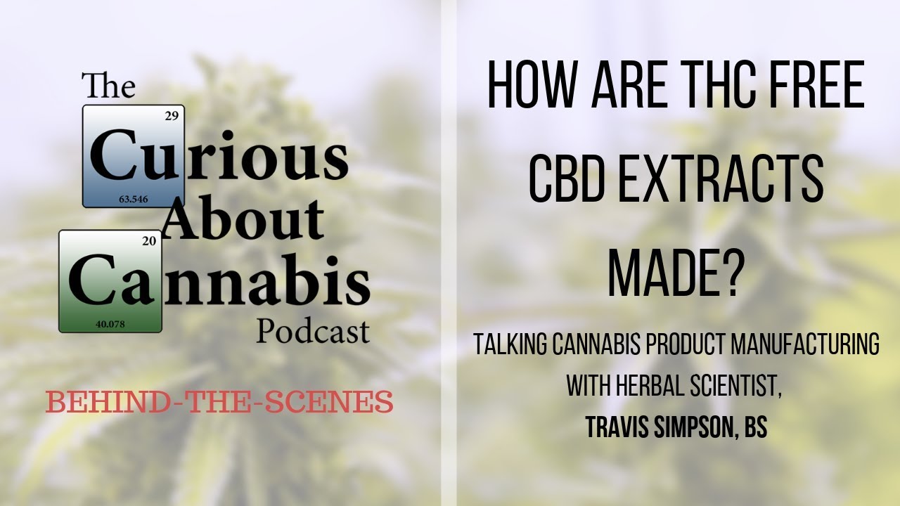 Herbal Scientist Explains How THC Free CBD Extracts are Made (Curious About Cannabis Podcast BTS)
