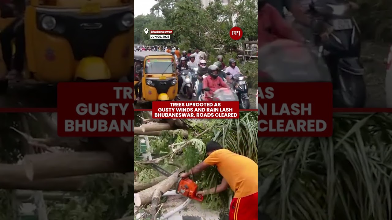 Strong Winds Uproot Trees in Bhubaneswar, Roads Cleared by Authorities