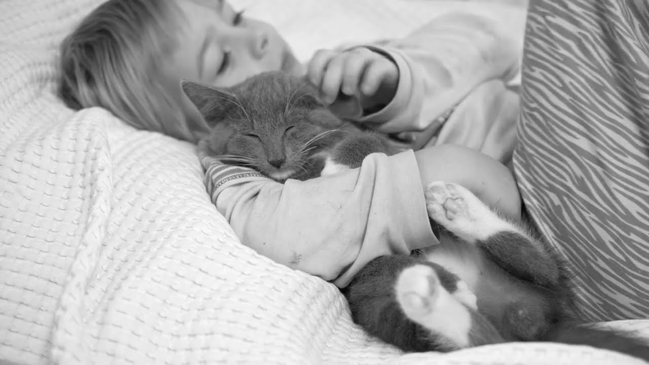Exclusion - Monoprotein Passion for Cat Health