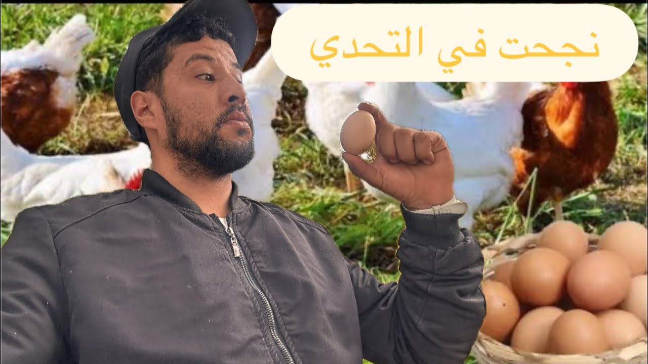 نجحت في التحدي 🥚نحو الإستثامر الثالث⏳