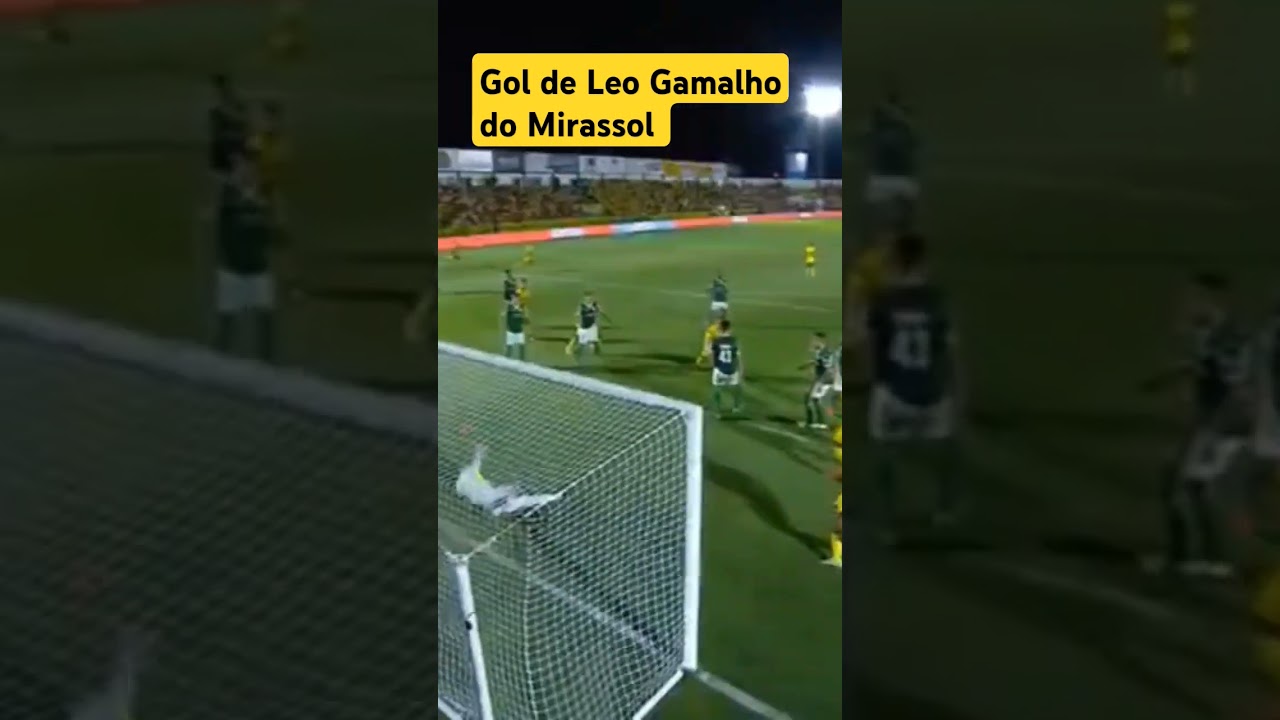 Gol de Leo Gamalho do Mirassol #futebol #mirassol #paulist&atilde;o #shorts