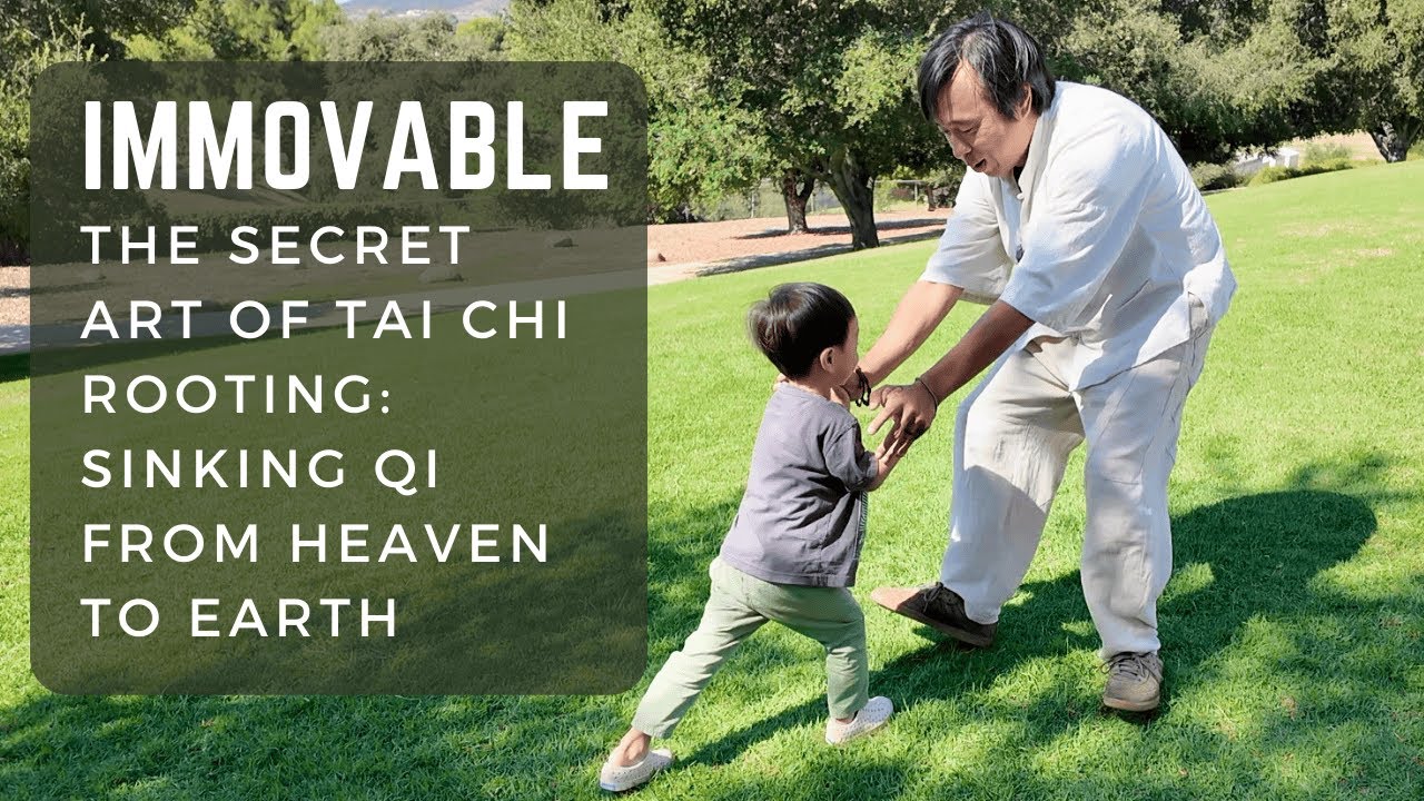 Immovable: The Secret Art of Tai Chi Rooting to Sink Qi to the Dantien and Beyond