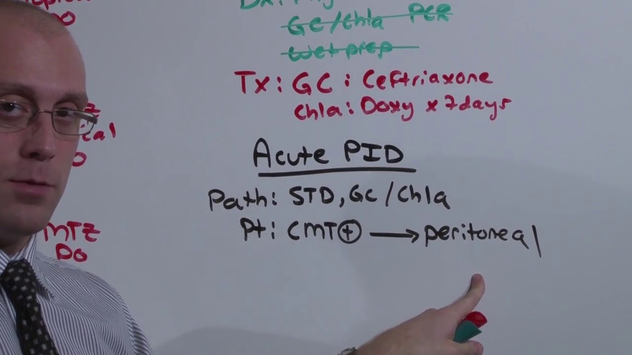 Gyn Infections   The Medical Education