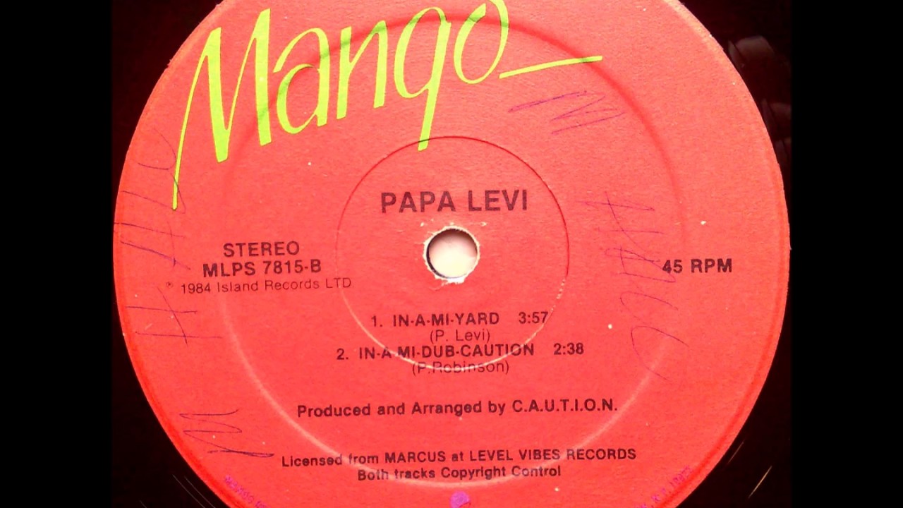 Papa Levi - In-A-Mi-Yard + Dub - 12
