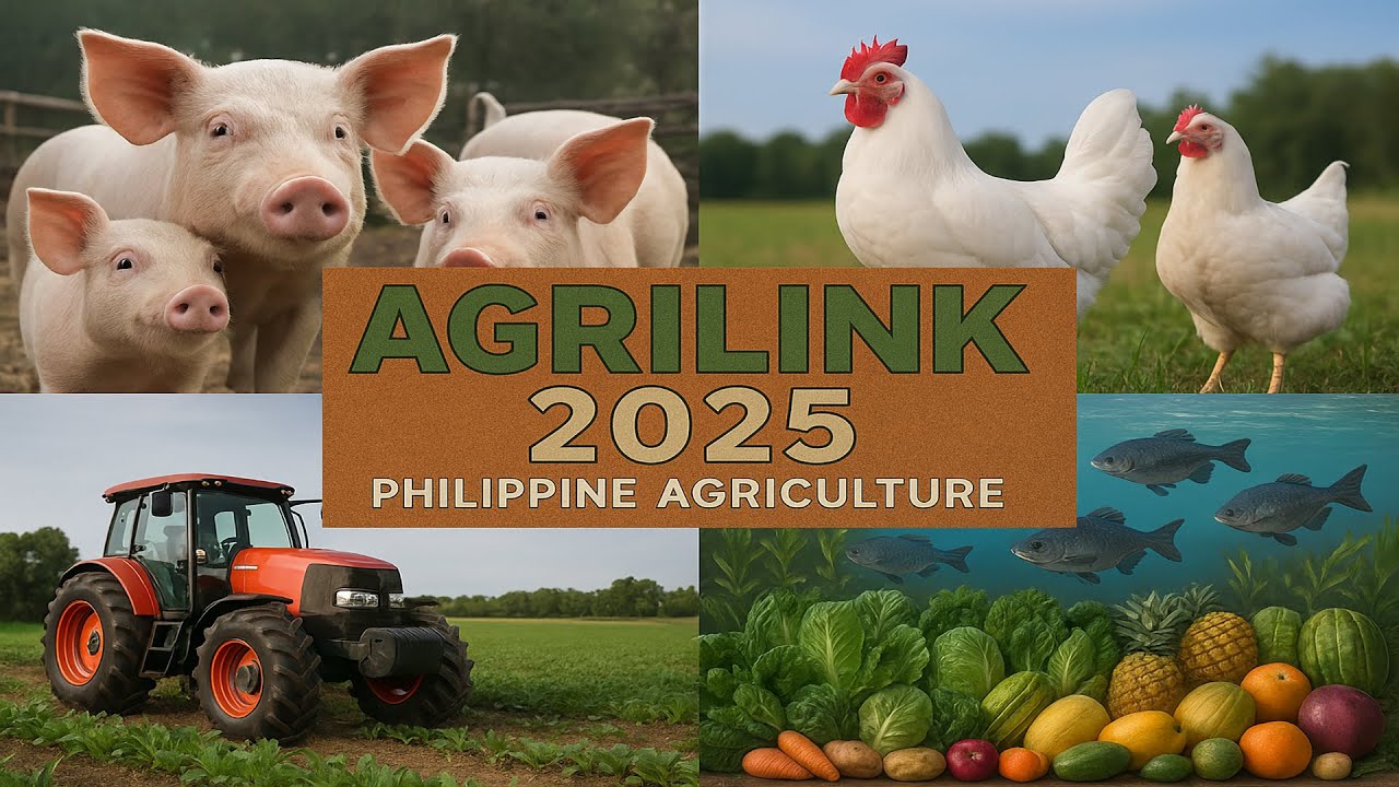 WALKINGTOUR AGRILINK 2025 #agrilink #agriculture #unahco #pigrolac #pigfarming #pig #foodlink #aqua