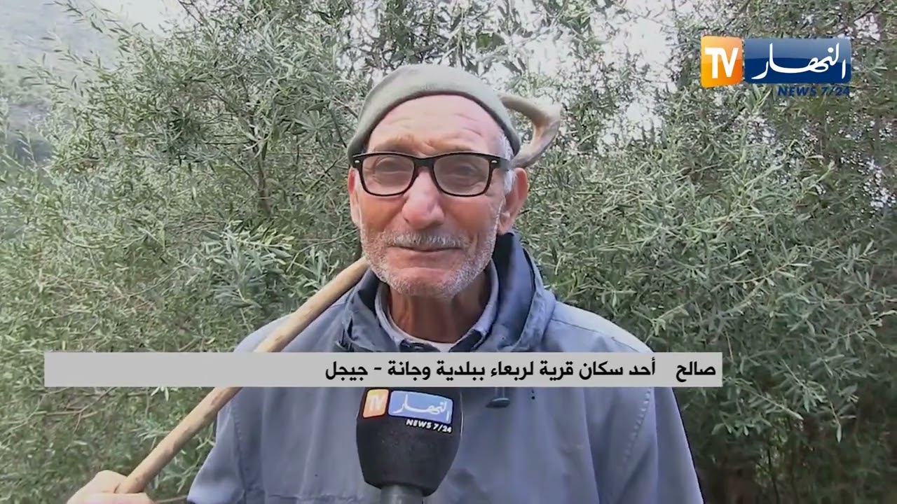جيجل / كاميرا النهار ترافق عائلات في جني الزيتون .. و تقف على ظروفهم الصعبة