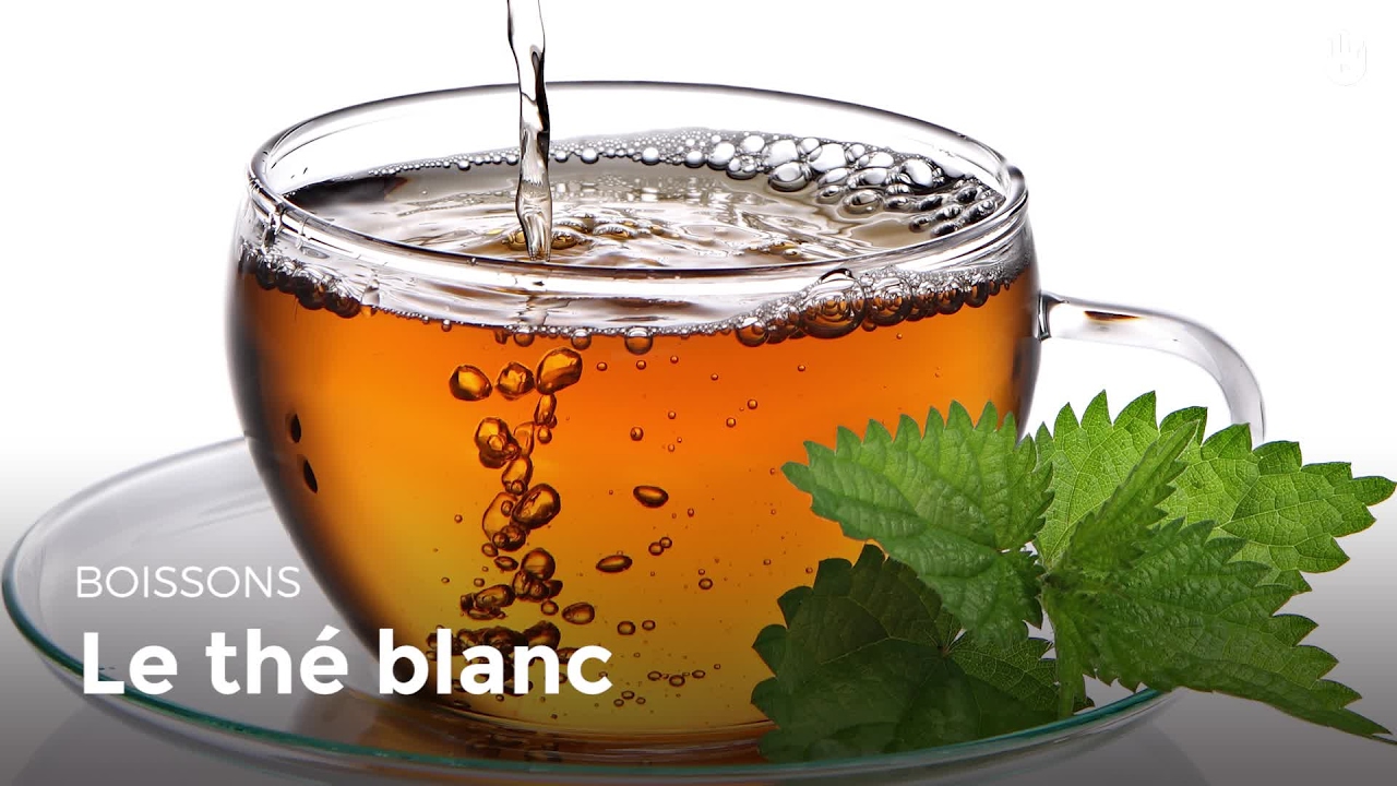 Th&eacute; Blanc | Apprendre &agrave; bien pr&eacute;parer le th&eacute;