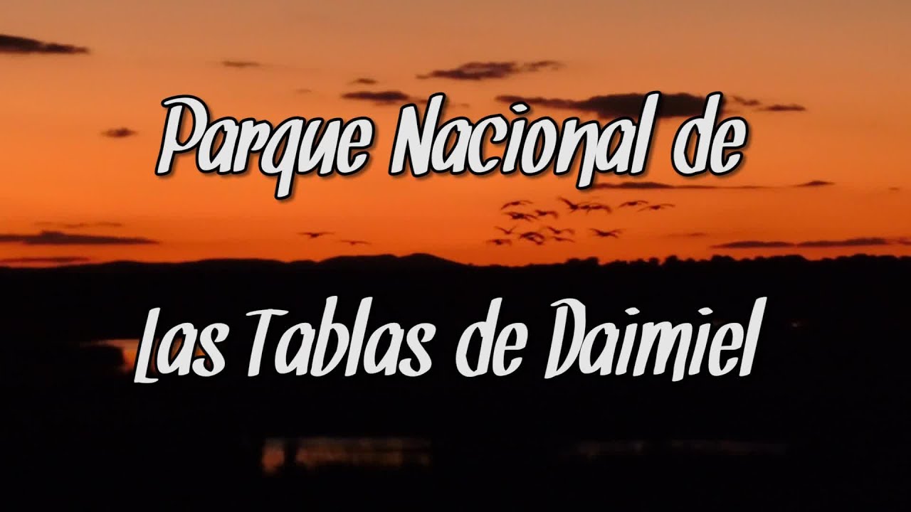 Ökologie: Parque Nacional de las Tablas de Daimiel
