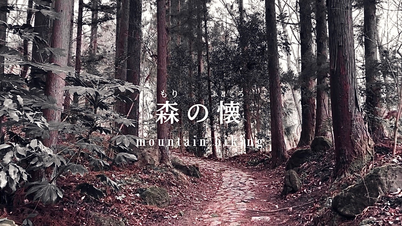 「森の懐」　Would you like to walk with me?　 山の風景でリラックスしませんか☕️