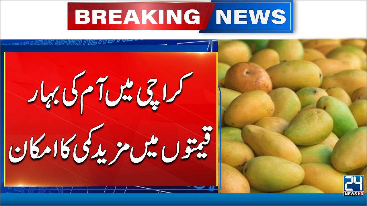 Mango Season Peaks in Karachi | Prices Expected to Drop Further! 24 News HD