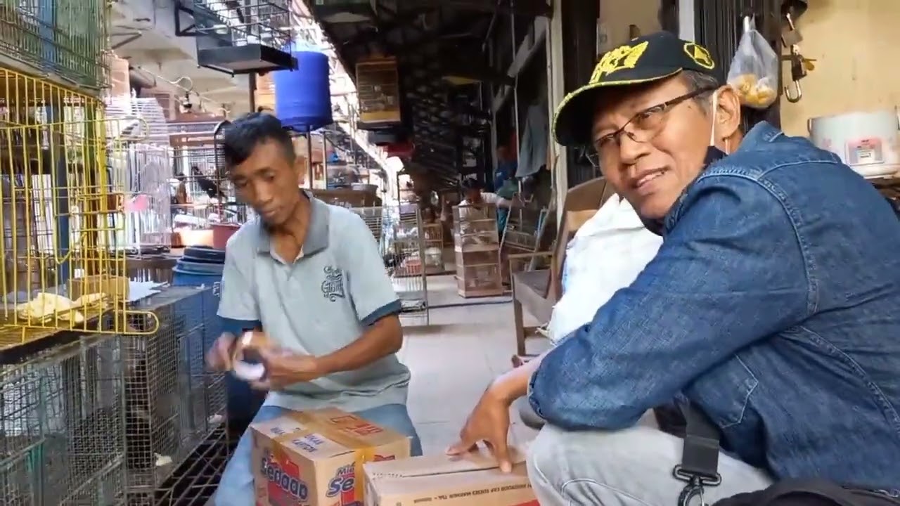 “Grosir Kelinci di Pasar Burung Depok Solo, Harga Bikin Kaget!”