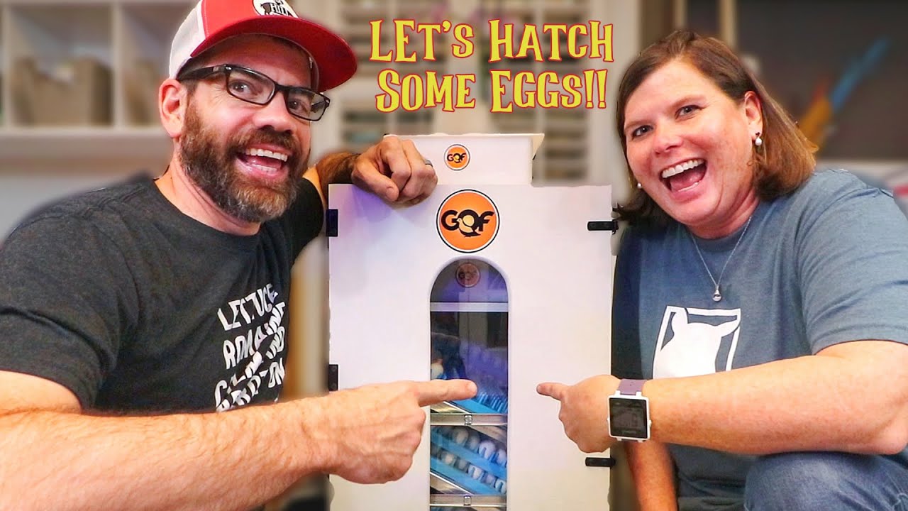This Machine Just Changed The Way We Hatch Eggs!!! (GQF Sportsman 1502)