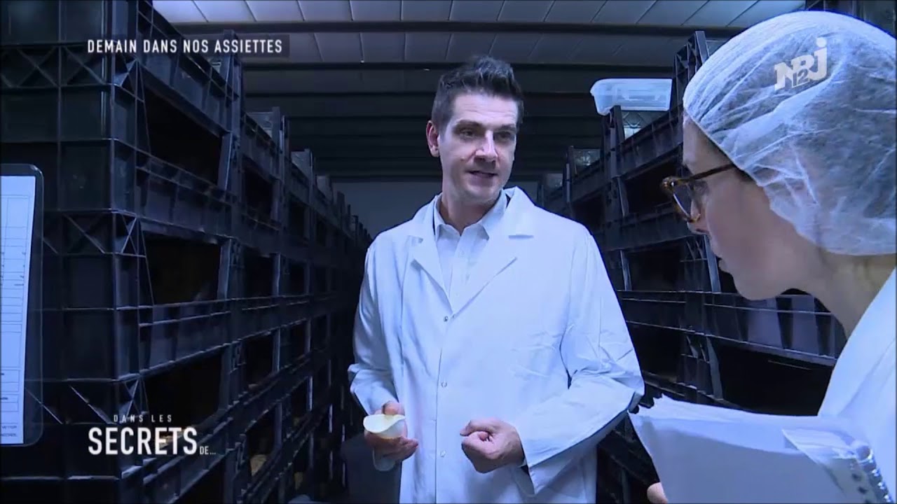 Micronutris - Reportage sur l'élevage d'insectes comestibles