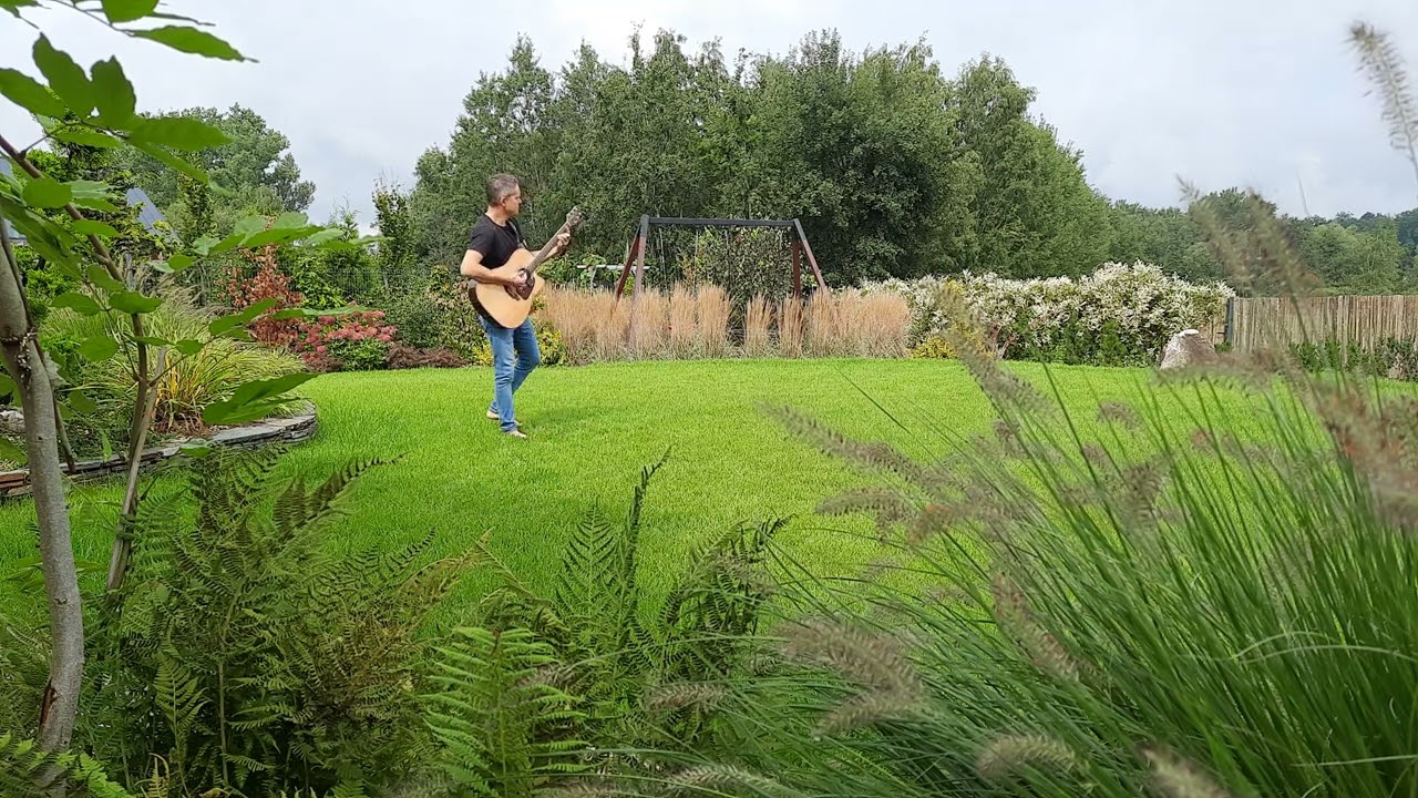 Japan garden guitar melody 🇯🇵🪴🌳🌾 #japangarden #liveguitar #takamineguitars #nuxb10vlog
