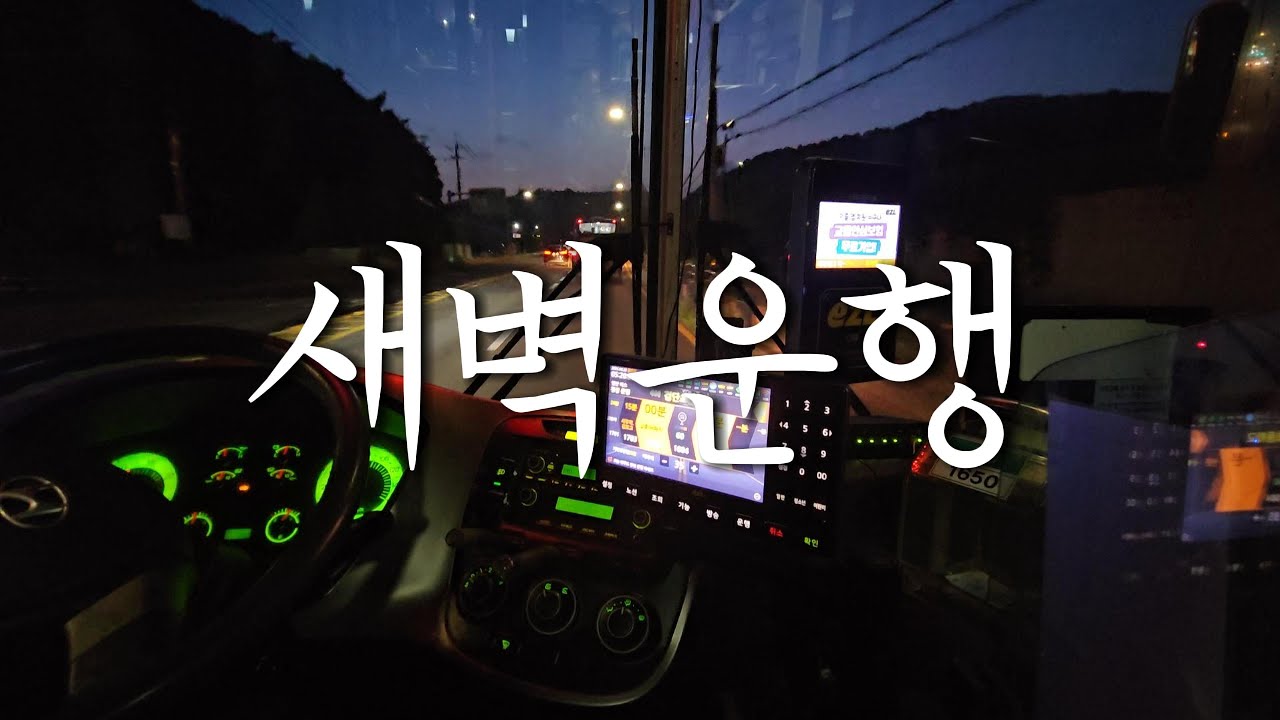 동틀무렵 운치있는 아침 새벽운행 경기 시내버스 기사 브이로그 KOREA GIMPO INTRA CITY BUS DRIVER VLOG