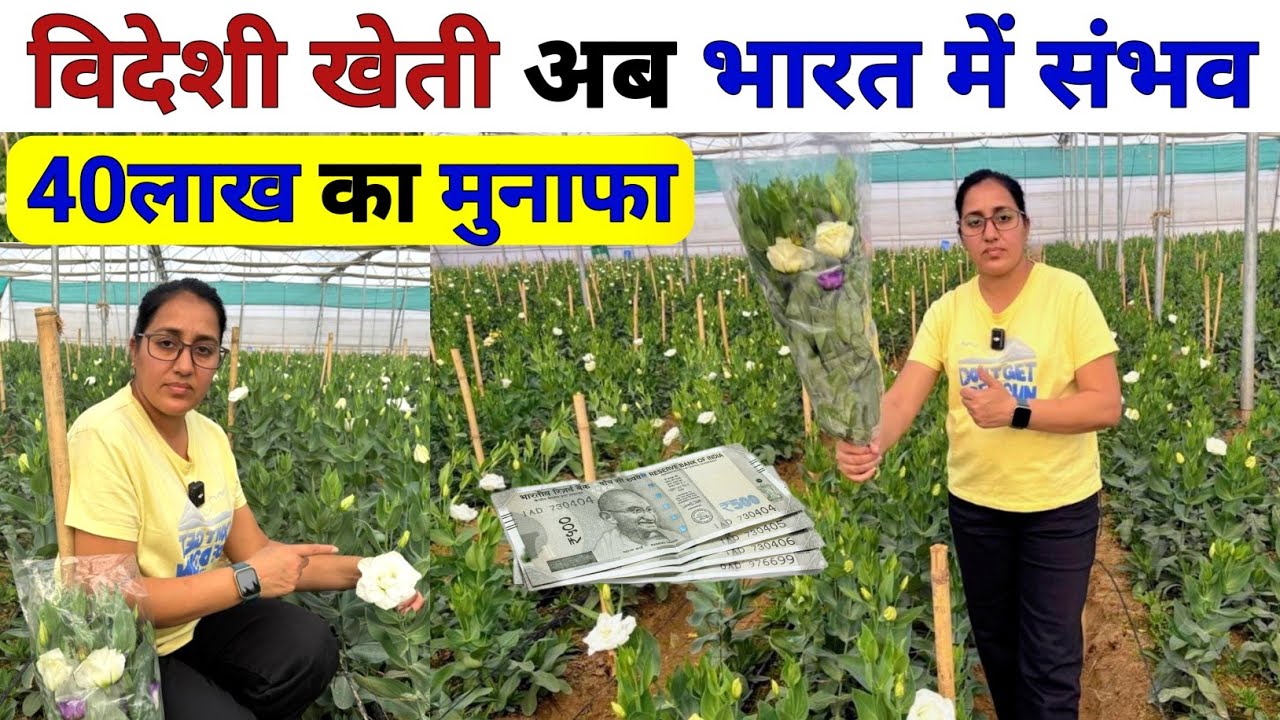 विदेशी खेती से🤑 भारत में करोड़ों की कमाई | Agriculture Business Ideas | Profitable Farming | Eustoma