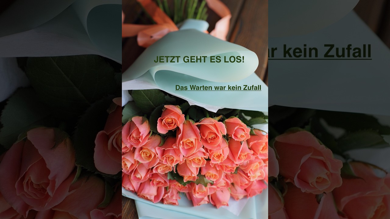 Du dachtest, es ist vorbei? 😦  Ne ne, nur anders geplant 😉 Was jetzt geschieht, verändert alles 😳🔥✨
